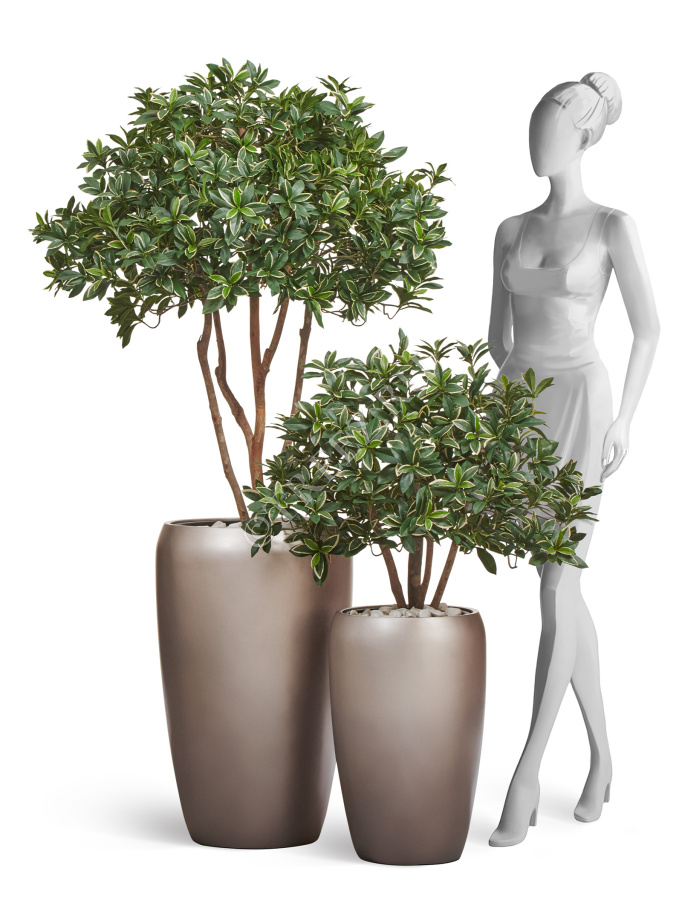 Сет № 104 - Композиция с бересклетами в матовых кашпо Treez Effectory Metal фото