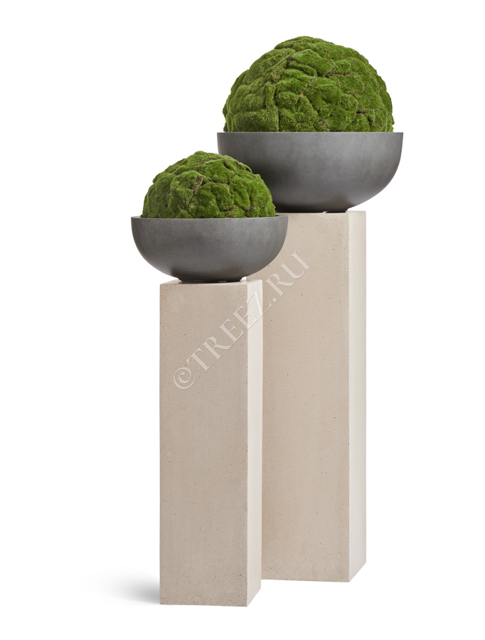 Сет № 132 - Композиция на колоннах в кашпо Treez Effectory Beton фото