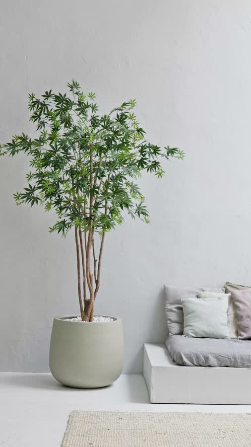 Кашпо TREEZ ERGO - Fine Rock - Design-чаша Classic - Белый песок фото